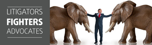 Mediation saves time and money compared to court. elephant